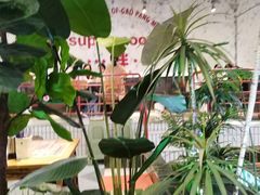 -高胖妹面庄(黄河道店)