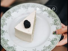 -竹子咖啡bamboo coffee