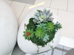 -轻武堂传统射箭·功夫茶·射击体验馆(仁和新城店)