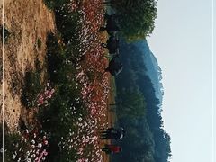 -黄陂区野村谷景区