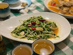 炝炒黑豆芽-新疆巴州金丝特餐厅(大钟寺店)