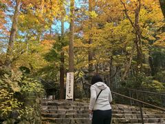 -三千院