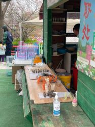 -萌宠亲子动物乐园(槐房万达店)