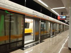 -奥体中心(地铁站)