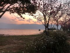 -大理洱海