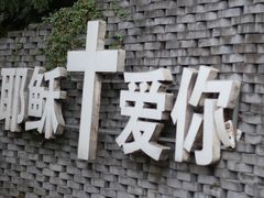 -美丽洲堂