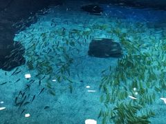 -常州海昌海洋探索馆