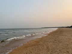 -日照海滨国家森林公园