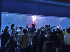 -重庆欢乐海底世界
