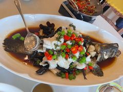青花椒油泼老虎斑-开海·红岛海鲜虾水饺(石老人店)
