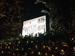-梧桐