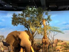 -陕西自然博物馆