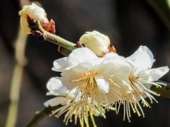 -北京明城墙遗址公园