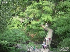-山沟沟景区