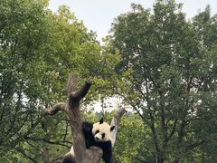 -宁波野生动物园