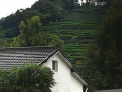 -西湖风景区十里琅珰-五云山