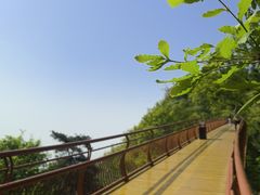 -少华山国家森林公园