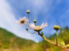 -凯鸽火锅(华林新天地店)