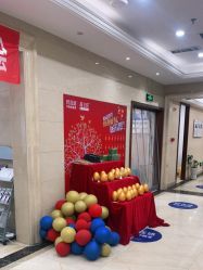 -碧莲盛·不剃发植发