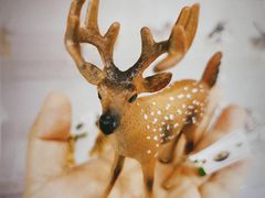 -永旺梦乐城国际商城(北清路店)