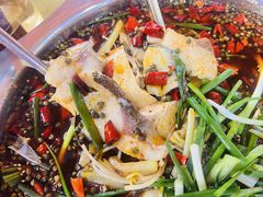 -乡土特色.冷锅鱼.牦牛肉汤锅