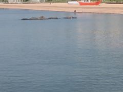 -兴城海滨风景区