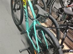 -道路口单车爱瓦士dahon大行