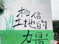 -黄桷坪涂鸦艺术街