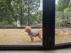 -J Create城市露营咖啡·简餐·宠物(上海动物园店)