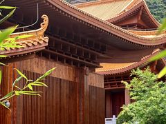 -深圳仙湖植物园