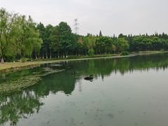-新洲生态园
