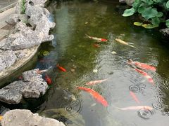 -道南書院·私房菜·早午茶·茶馆