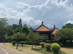 -顺峰山公园