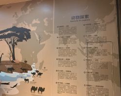 -卡通尼·Safari非洲探索乐园·生日会(金桥国际商业广场店)