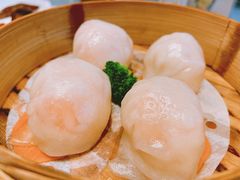 -御花园酒店(希尔顿店)