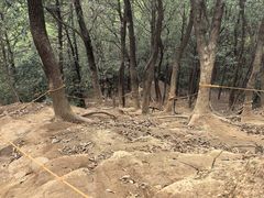 -灵岩山风景区