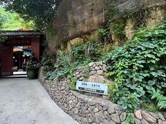 -将军关探险漂流