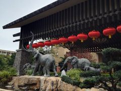 -白虎自助餐厅·真老虎·景观自助餐厅(广州长隆酒店)