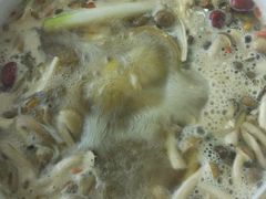 -珍品轩鲜菌火锅(眉山店)