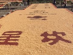 -呈坎景区