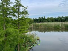 -同里国家湿地公园