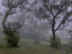 -大姆山草场