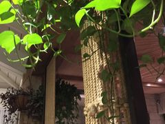 -春暖花开(西溪店)