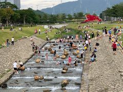 -光明小镇欢乐田园