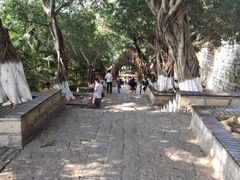 -胡里山炮台