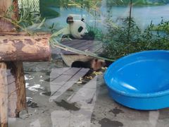-上海野生动物园