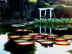 -国家植物园南园