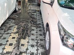 -文轩体育文化中心