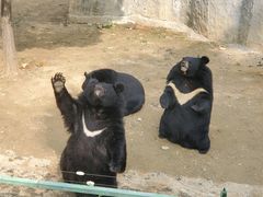 -石家庄市动物园