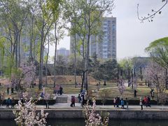 -元大都城垣遗址公园